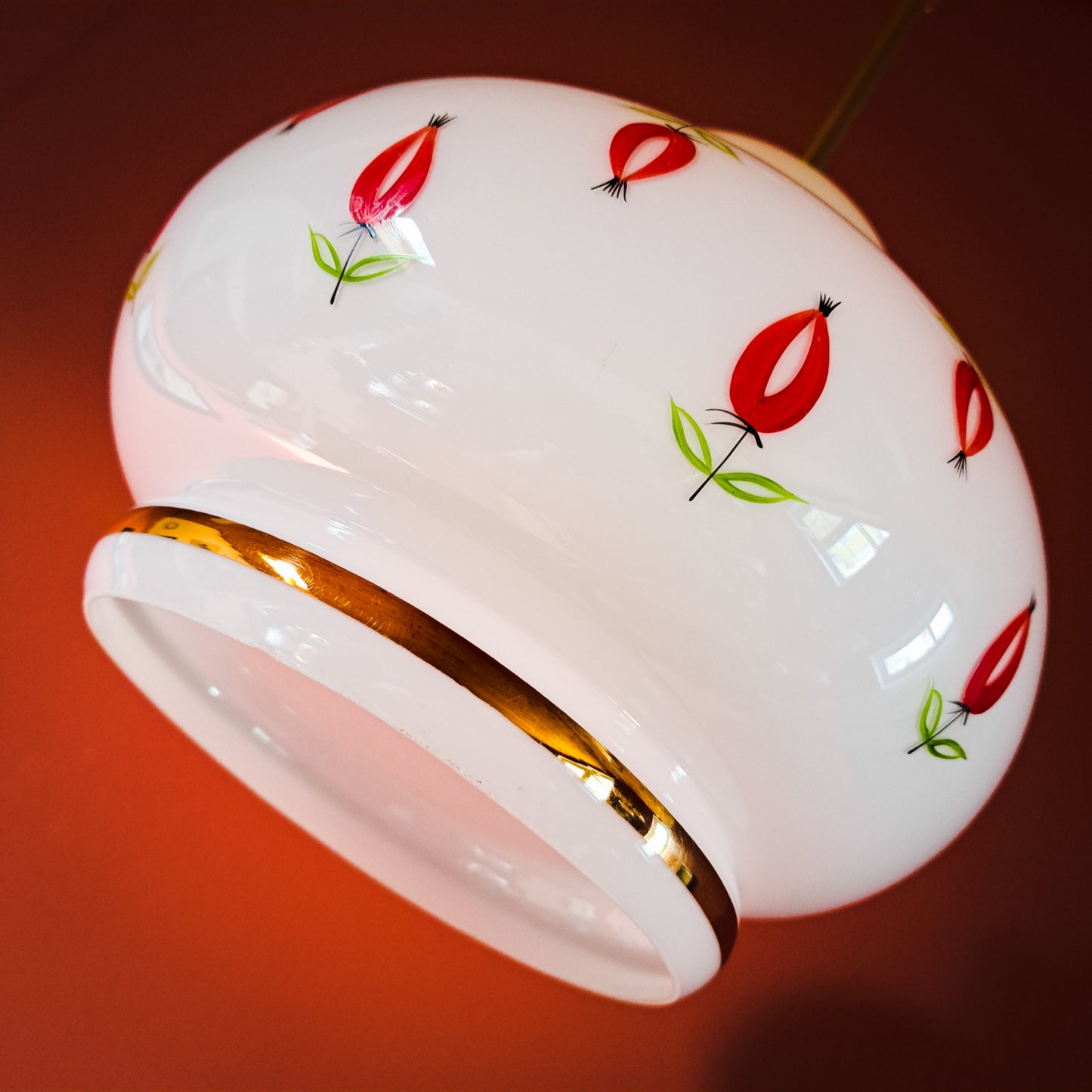 rosehip light